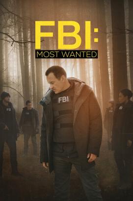 FBI: Most Wanted - Staffel 2