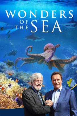 Wonders of the Sea