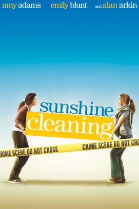 Sunshine Cleaning