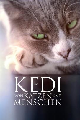 Kedi - Von Katzen und Menschen